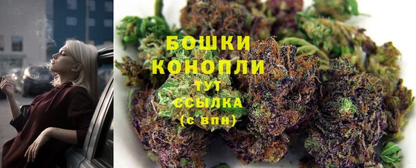 гидропоника Елизово