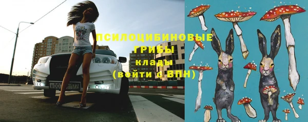 каннабис Ельня
